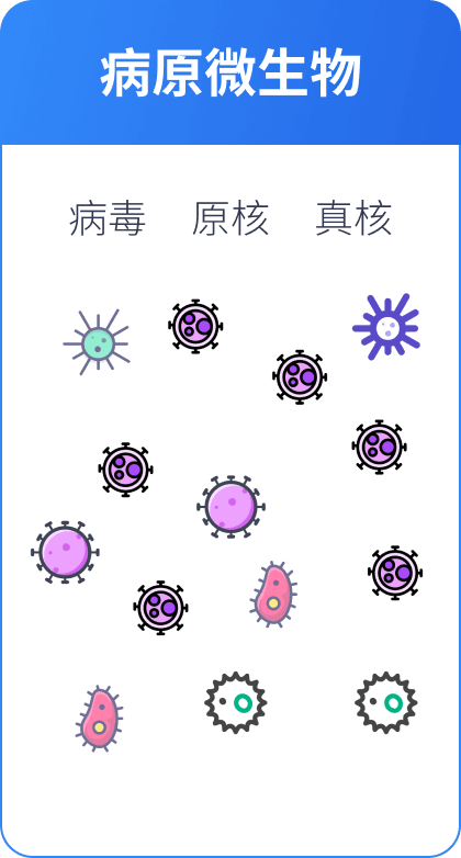 CRISPR 应用示例1