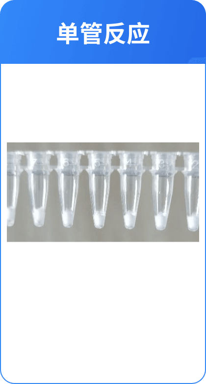 CRISPR 应用示例2